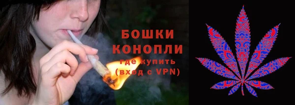 не бодяженный Пересвет