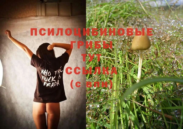 мяу мяу мука Абдулино