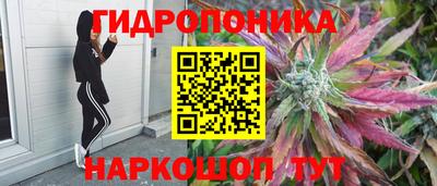 твердый Моздок