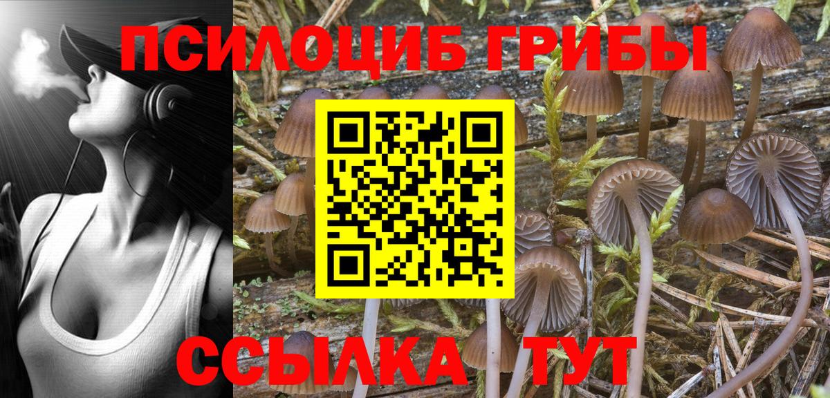 Сертолово  Галлюциногенные грибы ЛСД  Вход с VPN 